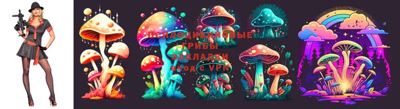 где можно купить наркотик  Анадырь  Псилоцибиновые грибы Magic Shrooms 